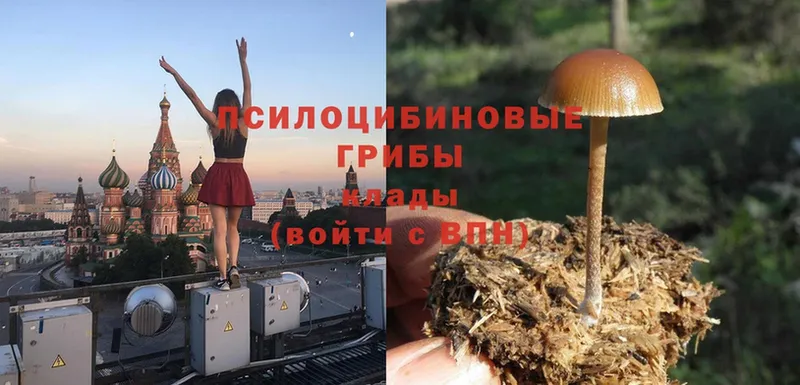 Псилоцибиновые грибы Magic Shrooms Валуйки